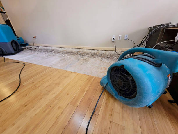 Reliable Basement Flood Cleanup contractor in Oldenburg, IN by Hirex Water Damage