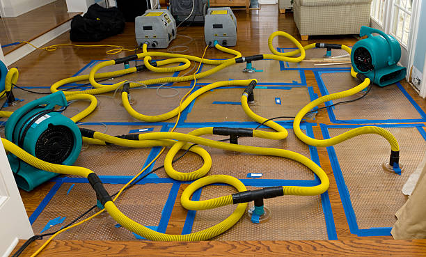 Professional Basement Flood Cleanup technician working in Oldenburg, IN